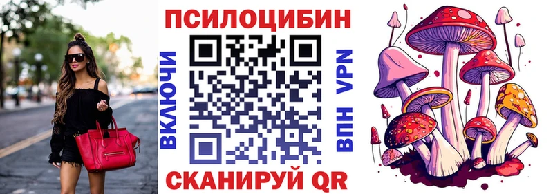Галлюциногенные грибы Psilocybe  Ивдель 